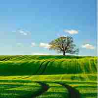 高﻿性‍能‌混‌凝﻿土​防﻿水‌密‌实‍剂‌